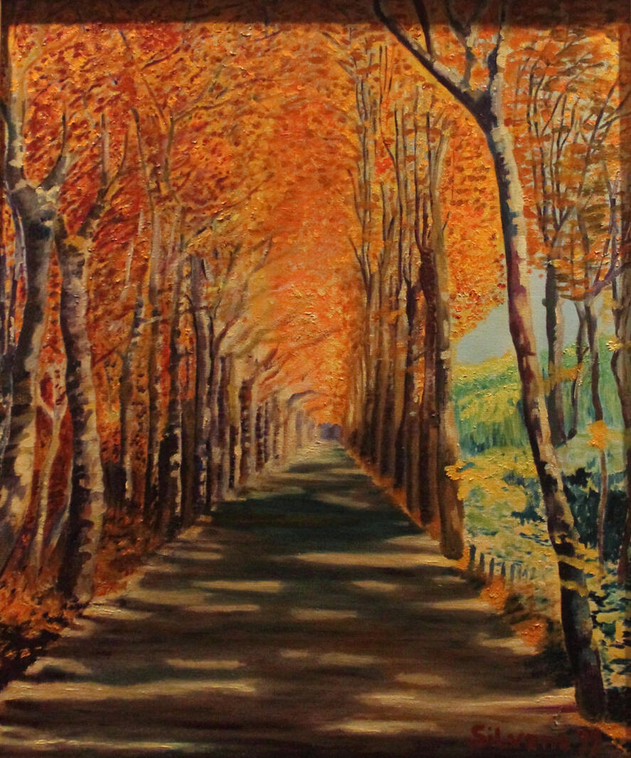 Strada Alberata in Provenza 50x60cm Strada Alberata in Provenza 50x60cm